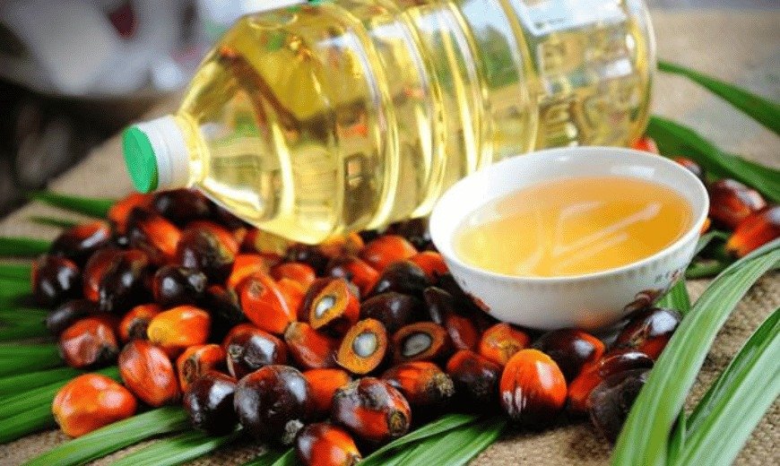 Premium Palm Oil